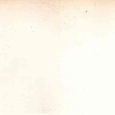 back of 2024.1032.120