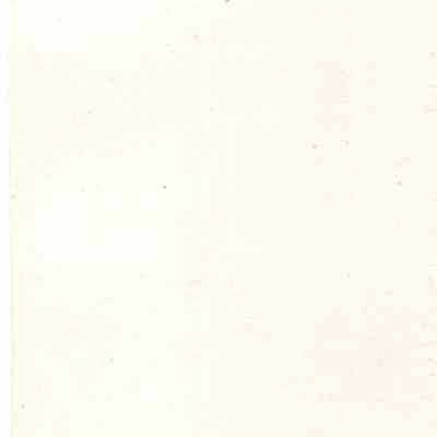 back of 2024.1032.238