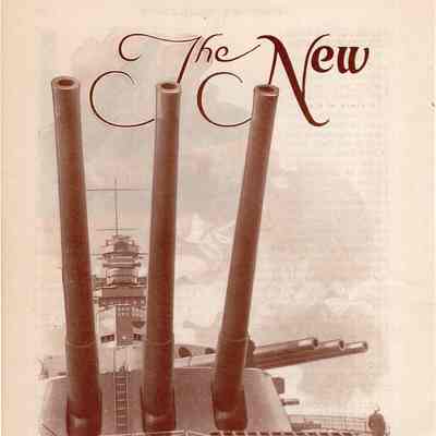 The New Navies I