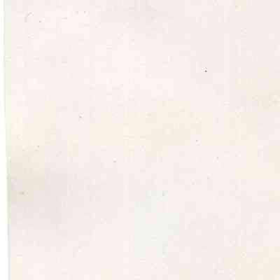 back of 2024.1032.251