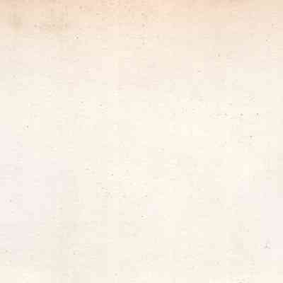 back of 2024.1032.265