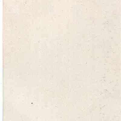 back of 2024.1032.196