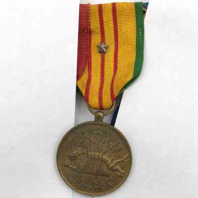 Vietnam Service medal