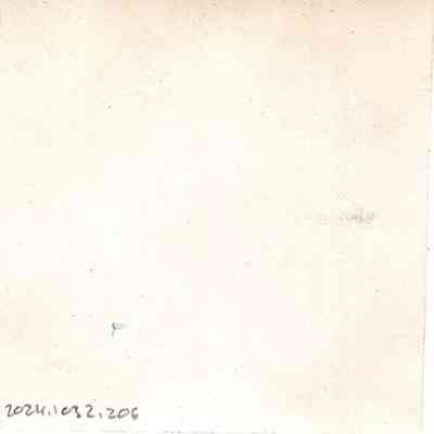 back of 2024.1032.206