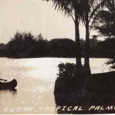 Mid the Cuban Tropical Palms