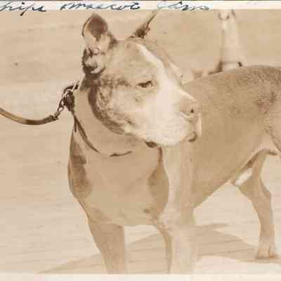 Ship’s mascot Jim