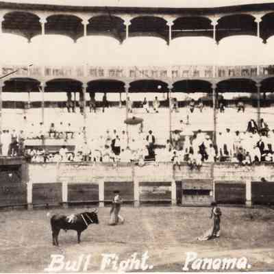 Bull Fight Panama