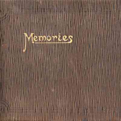 Rakes' memories album