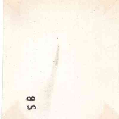 bakc of 2024.1032.275