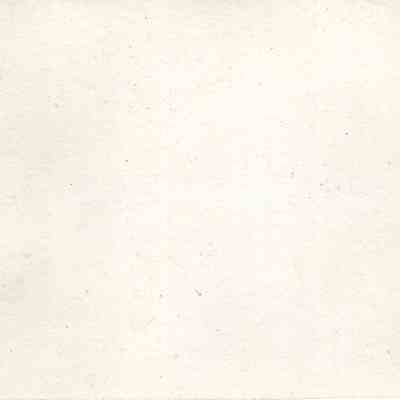 back of 2024.1032.262