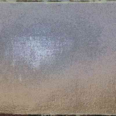 back cover of 2025.1028.16
