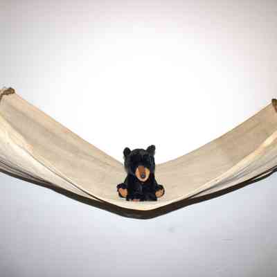 Newton's Hammock
