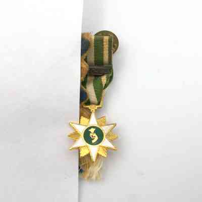 Republic of Vietnam Campaign miniature medal