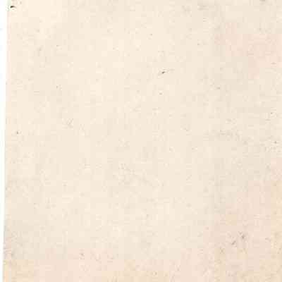 back of 2024.1032.198