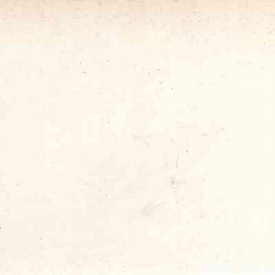 back of 2024.1032.181
