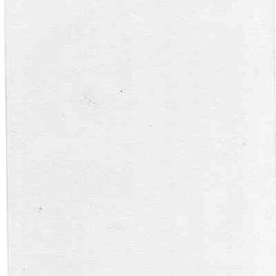 back of 2025.1017.98