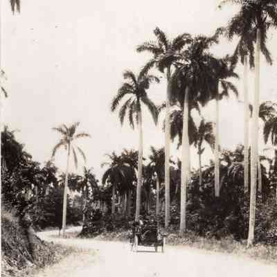 Typical Cuban Highway