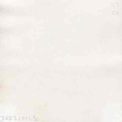 Back of 2023.1001.50