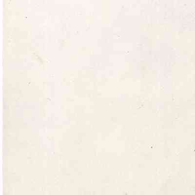 back of 2024.1032.221