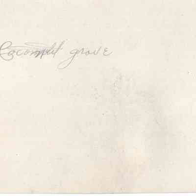 back of 2024.1032.213