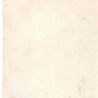 back of 2024.1032.193