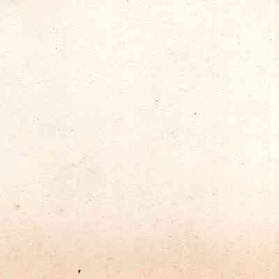 back of 2024.1032.159