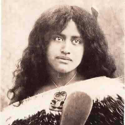 Maori Belle