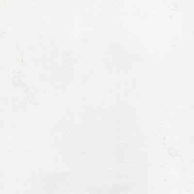 back of 2024.1001.48