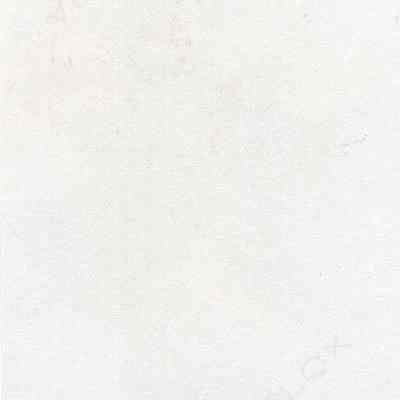 back of 2024.1001.50