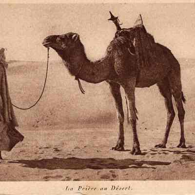La Priere au Desert
