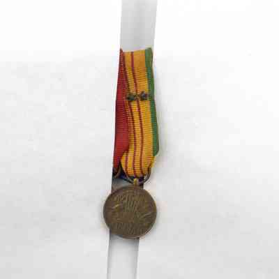 Vietnam Service miniature medal