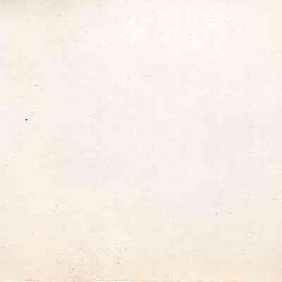 back of 2024.1032.263