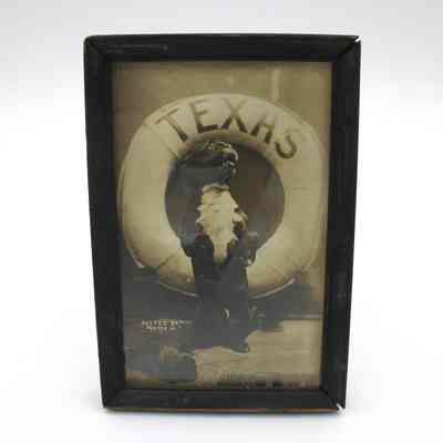 Mascot "Buster Sr" (framed)
