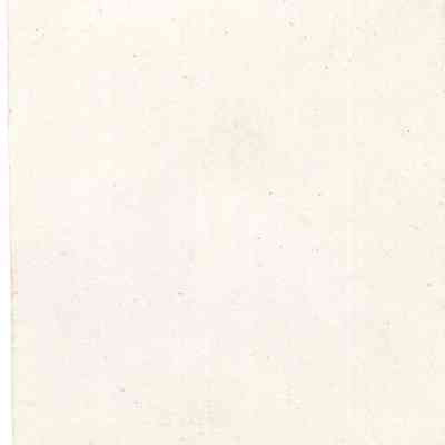 back of 2024.1032.259