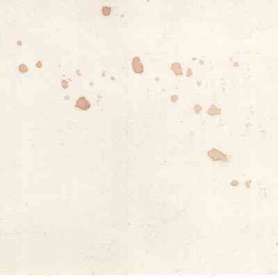 back of 2024.1032.121