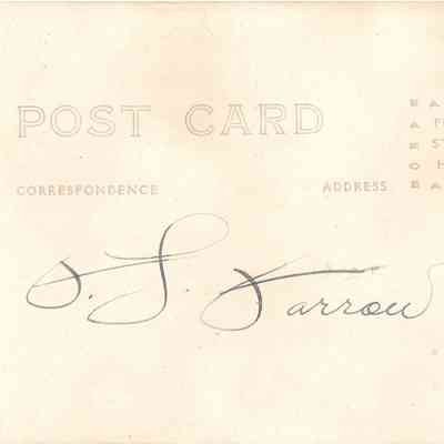 back of 2024.1032.264