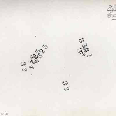 back of 2024.1001.110