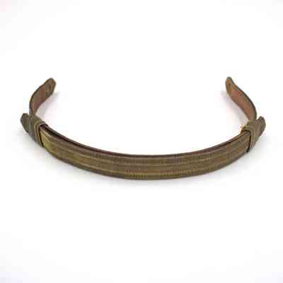 Chinstrap