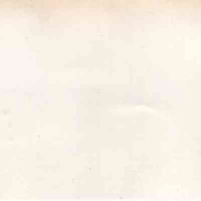 back of 2024.1032.247