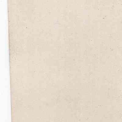 back of 2024.1032.245