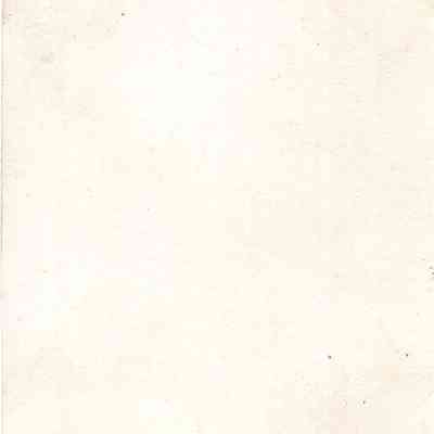 back of 2024.1032.195