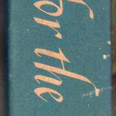 spine of 2024.1017.3