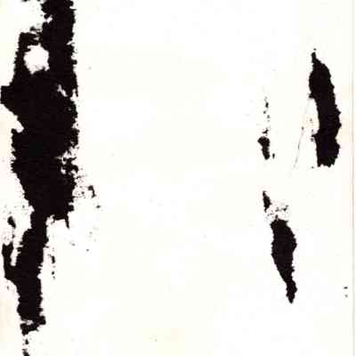 back of 2024.1032.232