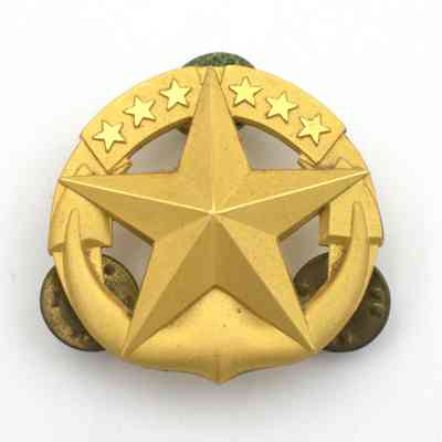 Command at Sea insignia