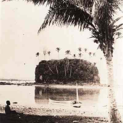 Scene in Bay of Islands "Fiji"