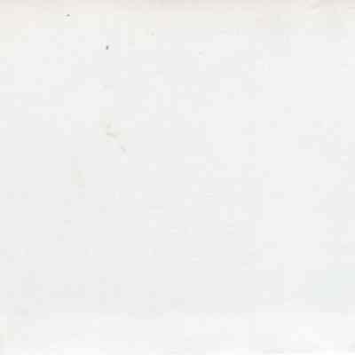 back of 2024.1001.53