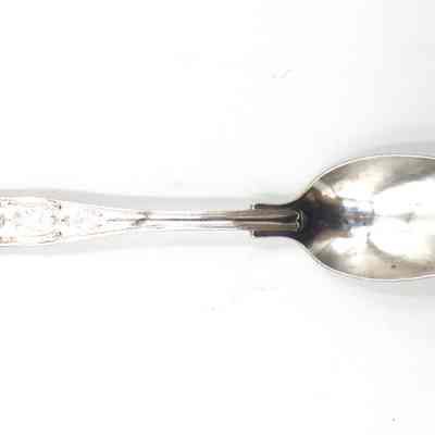 fouled anchor spoon #1