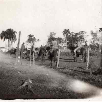Cavalry formation