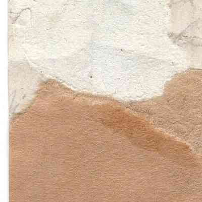 back of 2024.1032.224