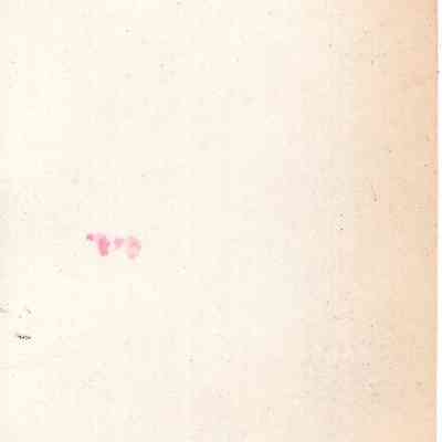 back of 2024.1032.230